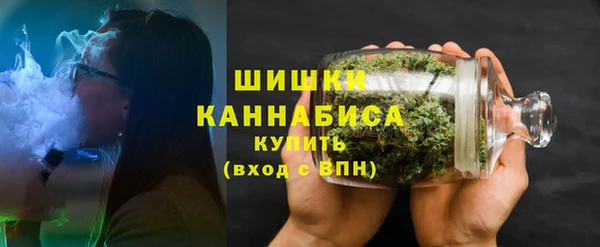 первитин Заводоуковск