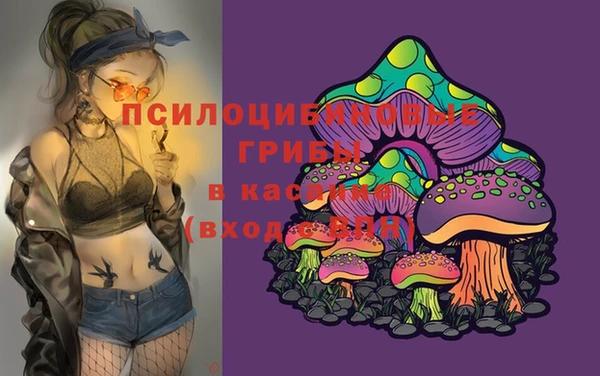 первитин Заводоуковск