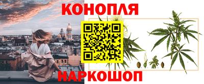 мдпв Славгород