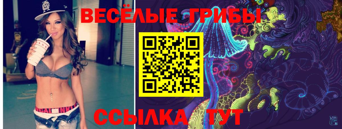 Истра  Псилоцибиновые грибы мухоморы  Вход с VPN 